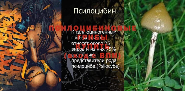 наркотики Зеленокумск