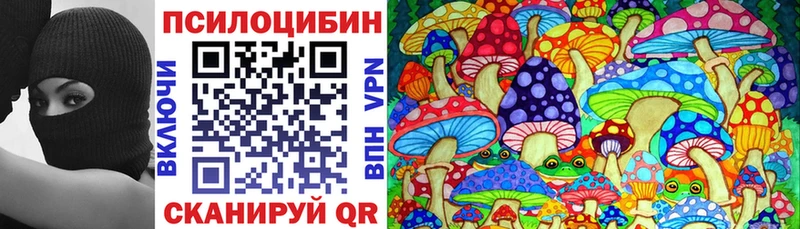 цены   Катайск  Псилоцибиновые грибы Magic Shrooms 